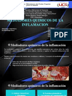 Mediadores Quimicos de La Inflamacion