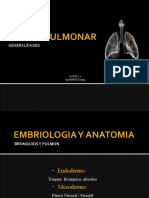 Cancer Pulmonar