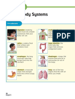 Human Body Systems: Vocabulary