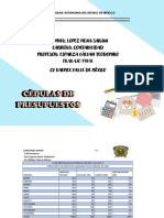 Presupuestos Lopez Mejia Sarahi PDF