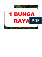 1 Bunga Raya