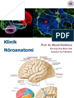 Klinik Noroanatomi PDF