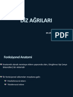 Di̇z Ağrilari