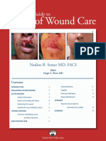 Basics Of Wounds Care.pdf