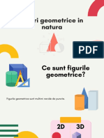 Figuri Geometrice in Natura