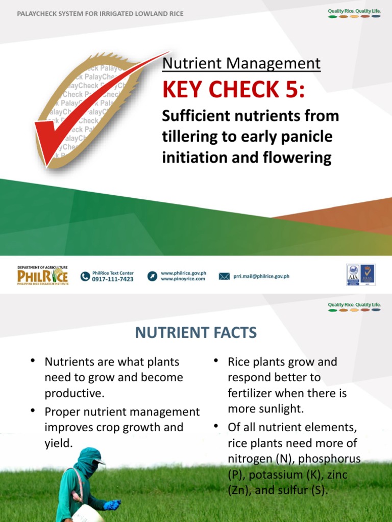 CR Key Check 5 - FINALdraft | PDF | Plant Nutrition | Fertilizer