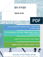 תצורת השם - שורש ומשקל