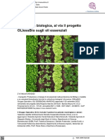 Orticoltura Biologica, Al Via Il Progetto OliessBio - Vivere Urbino - It, 14 Marzo 2023