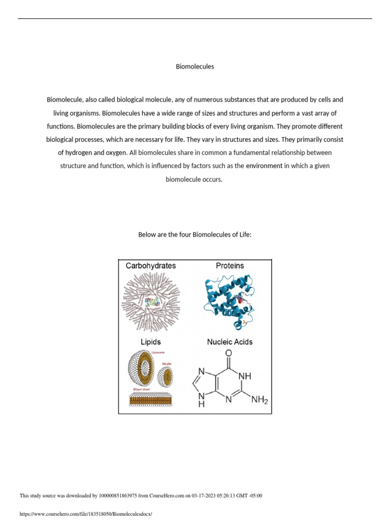 Biomolecules | PDF