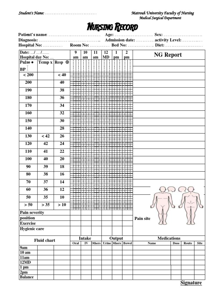 Nursing Record Template for Patients | PDF