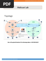 Multicast Part of The CCIE EI Workbook Orhan Ergun