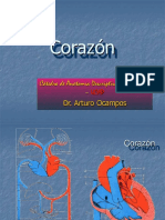 1.2 Corazón y Grandes Vasos