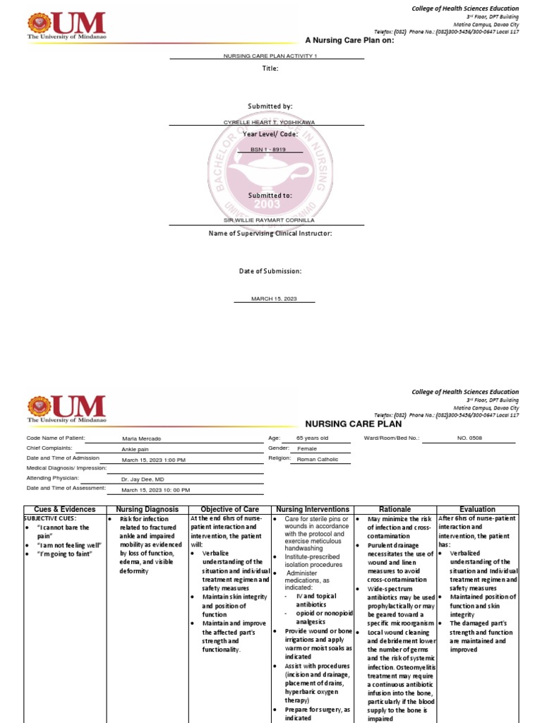 title-a-nursing-care-plan-on-pdf-therapy-nursing