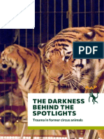 Aap 2023 The Darkness Behind The Spotlights Final