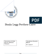 Boala-Legg - Perthes