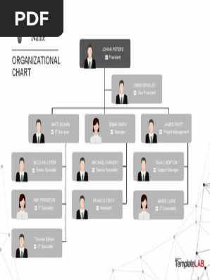 Business Organizational Chart 1
