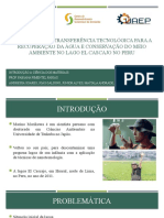 Tratamento E Transferência Tecnológica para A Recuperação Da Água E Conservação Do Meio Ambiente No Lago El Cascajo No Peru