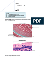 NSSBIO3E Photomicrograph Mammalian Villi e