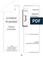 Eslava Cobos, Mejía - Aproximación Neurofisiológica. - Los Trastornos Del Aprendizaje - Cap 3