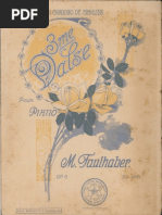 Popis 1828 - Tamiska Zupanija | PDF | Hungary | Europe