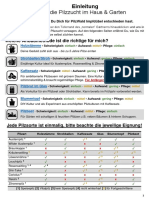 Anleitung PilzWald Pilzdübel