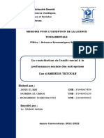 La Contribution de L'audit Social À La Performance Sociale Des Entreprises (Cas D'amendis Tétouan)