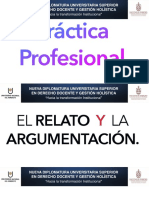 Practica Profesional