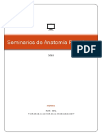 Anatomia Patologica Seminarios PDF