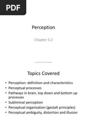 chapter 3.2 perception