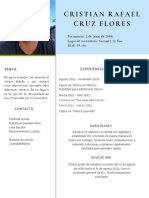 Cristian CV PDF