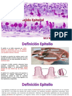 CLASE T2 Epitelios PDF