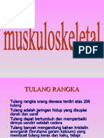 004 Muskuloskeletal