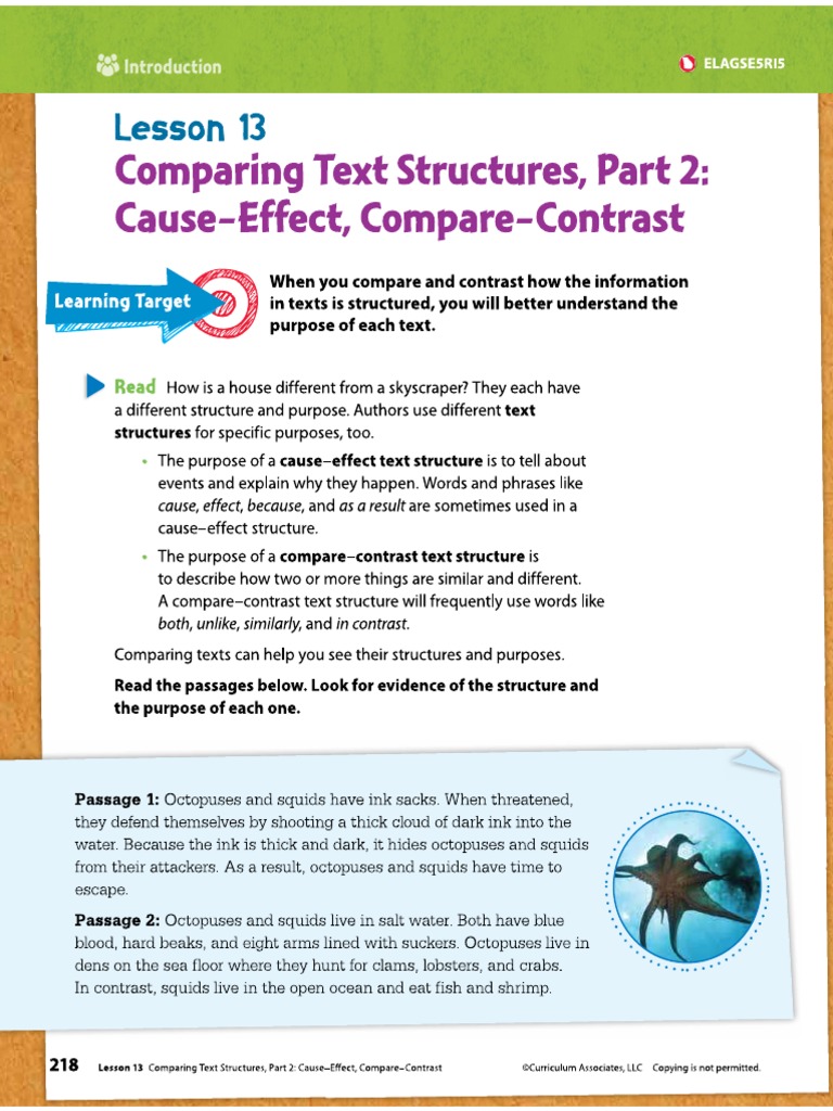 Kami Export - 6th Grade Text Structure-1 | PDF