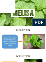 Propiedades Medicinales Del Toronjil o Citronela (Melissa