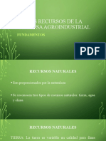 LOS RECURSOS DE LA EMPRESA AGROINDUSTRIALpptx