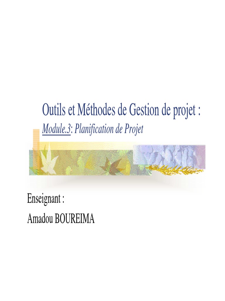 Planification de Projet : Outils et Méthodes | PDF | Planification | Risque