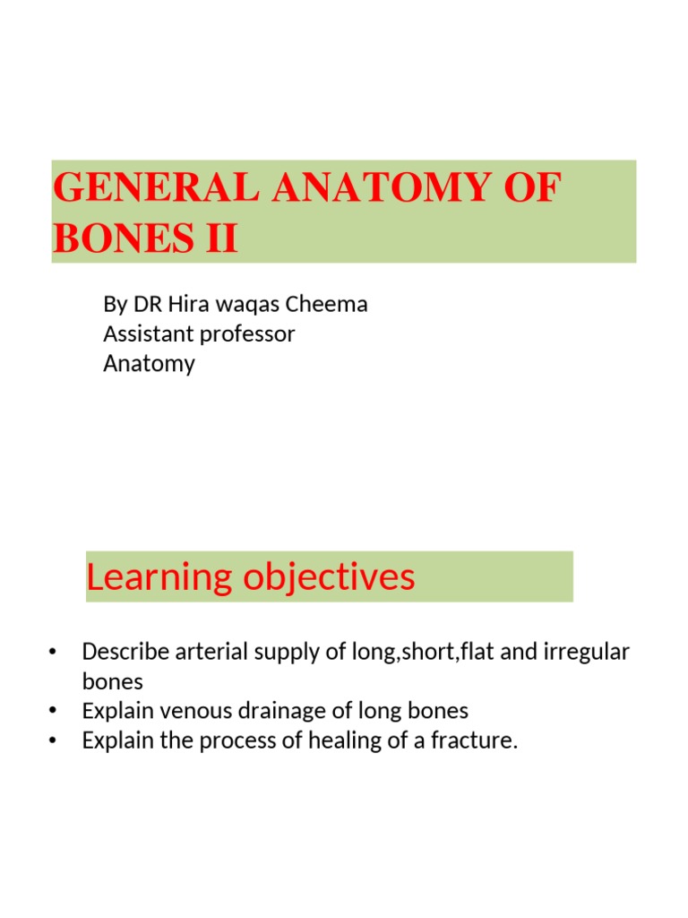 General Anatomy of Bones 2 Download Free PDF Bone Blood Vessel