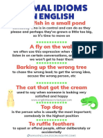 Animal Idioms in English