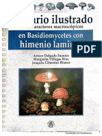 Glosario_ilustrado_de_los_hongos[1].pdf