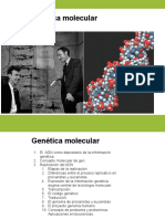 Genetica Molecular B