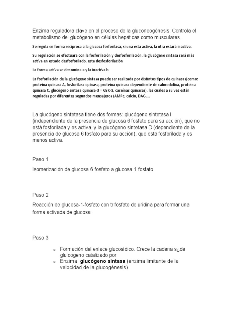 Enzima Reguladora Clave en El Proceso de La Gluconeogénesis PDF