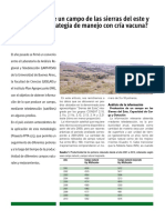 ¿Cuánto Produce Un Campo de Las Sierras Del Este y Cúal Sería La Estrategia de Manejo Con Cría Vacuna?