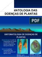 Sintomas de doenças de plantas