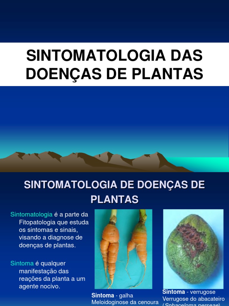 Aula 4 Sintomatologia PDF | PDF | Fungo | Patógeno