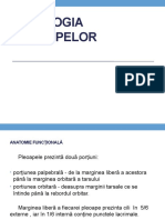 Patologia Pleoapelor