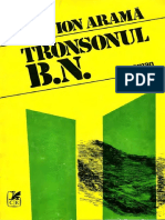 Ion Aramă - Tronsonul B.N.