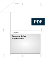 Estructura de Las Organizaciones - Vicente Ayala