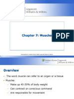 Chapter 7: Muscles