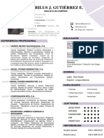 CurriculumDG PDF
