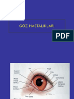 Göz Hastaliklari